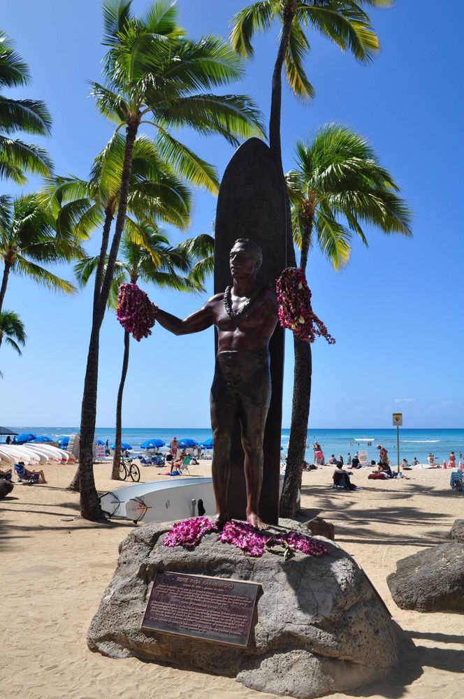 Hawaii⋆｡˚⋆❀˖°𓆉